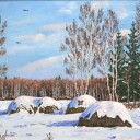 Николай Булкин.